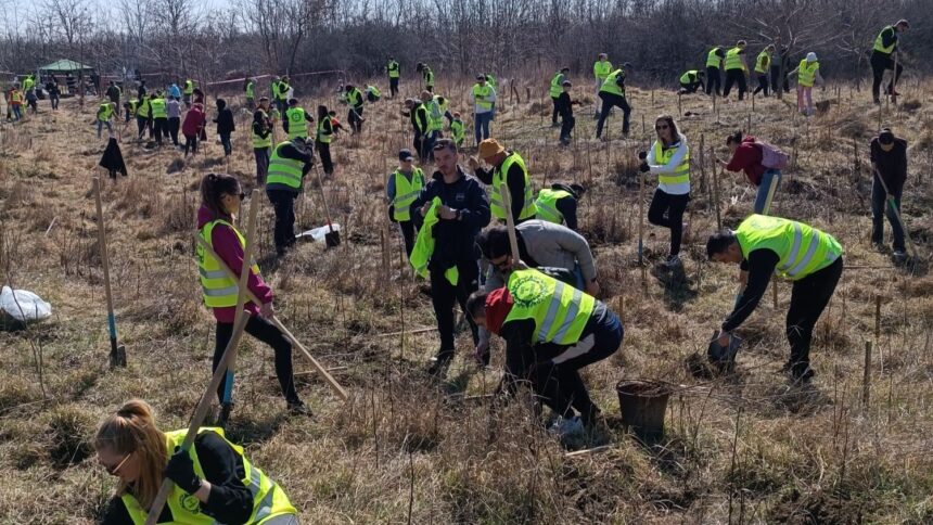 frati ai codrului actiune de impadurire la schitu duca pentru a marca unirea basarabiei cu romania 69ba74e9efaa5