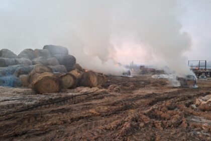 incendiu la un depozit de furaje din judetul iasi 69b3a00dadbbe