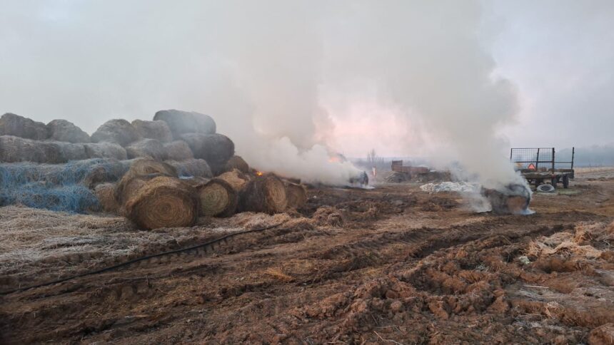 incendiu la un depozit de furaje din judetul iasi 69b3a00dadbbe