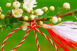 martisorul simbol al primaverii si al renasterii 69a4036f2fb71