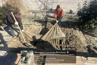 noi instalatii ilegale ingropate descoperite pe plajele din navodari autoritatile anunta verificari pe tot litoralul 69b26668f2f69