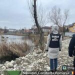 operator economic amendat de garda de mediu constanta cu 60 000 de lei dupa ce a depozitat deseuri intr o arie naturala protejata 69c66526647d9