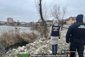 operator economic amendat de garda de mediu constanta cu 60 000 de lei dupa ce a depozitat deseuri intr o arie naturala protejata 69c66526647d9