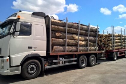 padurarii isi dau la gioale intre ei la iasi directia silvica a fost sanctionata dur taman de garda forestiera cazul a ajuns in instanta 69b7616ce31e0