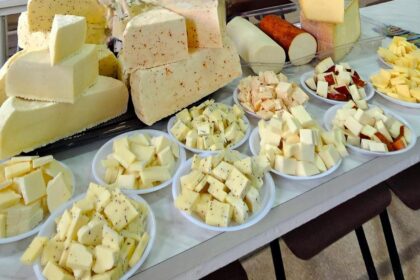 procesarea laptelui sansa fermelor mici solutii moderne prezentate la workshopul regional care a avut loc la usv iasi 69a64199e1c27