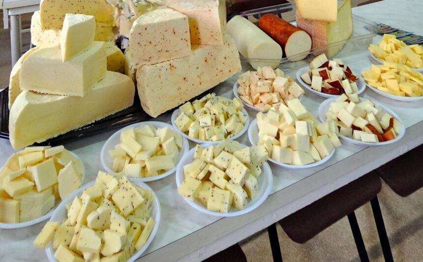 procesarea laptelui sansa fermelor mici solutii moderne prezentate la workshopul regional care a avut loc la usv iasi 69a64199e1c27