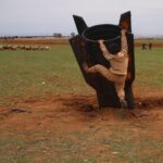 racheta iraniana prabusita in siria transformata in loc de joaca un copil escaladeaza proiectilul imaginea a facut inconjurul lumii foto 69a95e881d4af