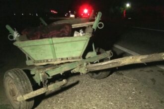 soferul care a lovit un pieton s a tot invartit cu masina dus intors prin zona accidentului indecis daca sa si asume sau nu pana victima neajutorata a murit in drum 69bdfc6cb09bb