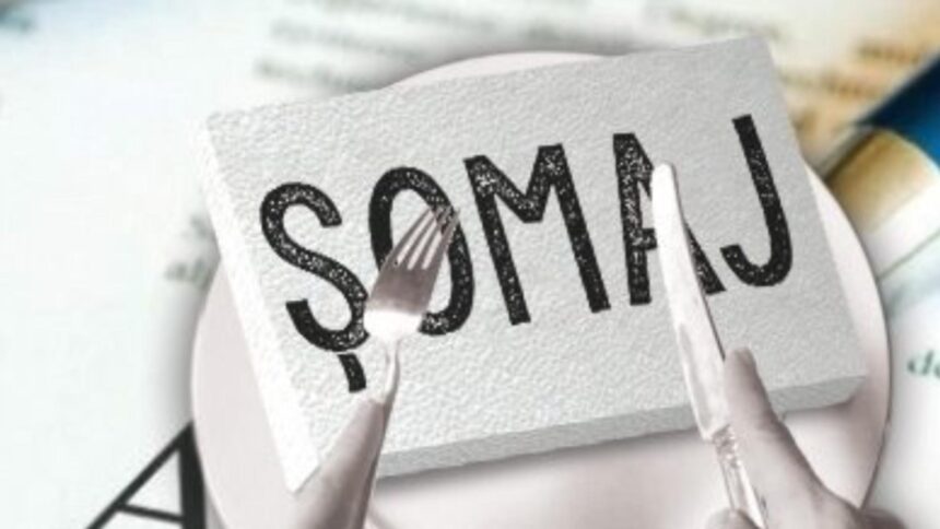 somajul scade in europa dar nu si pentru tinerii romani de ce raman blocati in afara pietei muncii 69a83018e924b