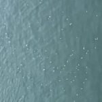 sute de pesti morti in raul bistrita reprezentantii directiei sanitar veterinare au recoltat probe 69a7fd8531170