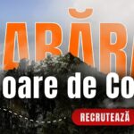 tabara floare de colt a arhiepiscopiei iasilor recruteaza voluntari pentru sezonul de vara 2026 69b4baebdf95c