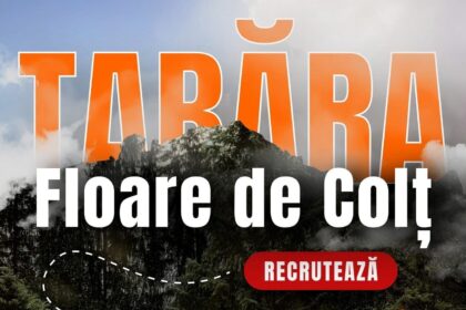tabara floare de colt a arhiepiscopiei iasilor recruteaza voluntari pentru sezonul de vara 2026 69b4baebdf95c