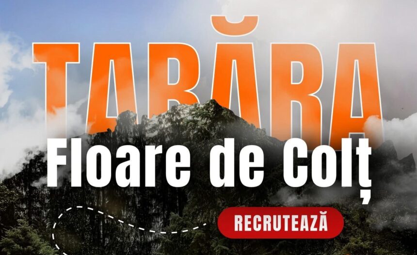 tabara floare de colt a arhiepiscopiei iasilor recruteaza voluntari pentru sezonul de vara 2026 69b4baebdf95c