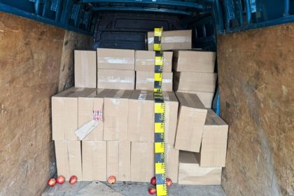 tigari de aproximativ 350 000 de lei ascunse prin metoda capac depistate la frontiera de est a tarii video 69a6c127e3c15