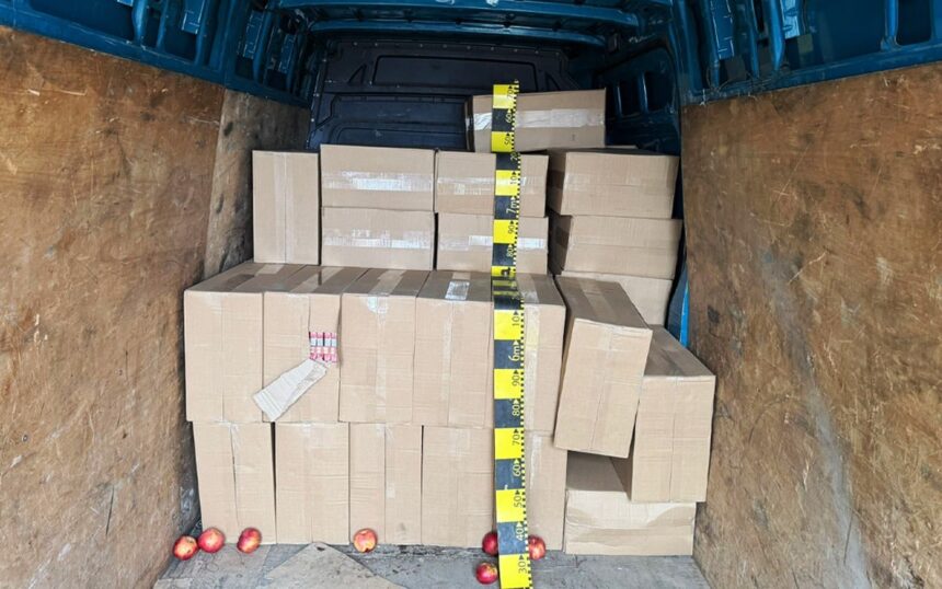 tigari de aproximativ 350 000 de lei ascunse prin metoda capac depistate la frontiera de est a tarii video 69a6c127e3c15