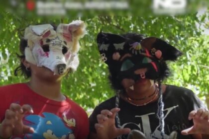 tineri deghizati in animale merg in patru labe pe strazi ei se identifica cu pisici caini si vulpi 69a40488df93e