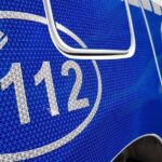 un adolescent de 17 ani din sibiu a fost arestat dupa ce ar fi ucis un varstnic cu o bata l a abandonat pe strada in frig 69aeecf1da11c