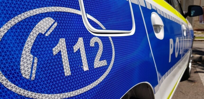 un adolescent de 17 ani din sibiu a fost arestat dupa ce ar fi ucis un varstnic cu o bata l a abandonat pe strada in frig 69aeecf1da11c