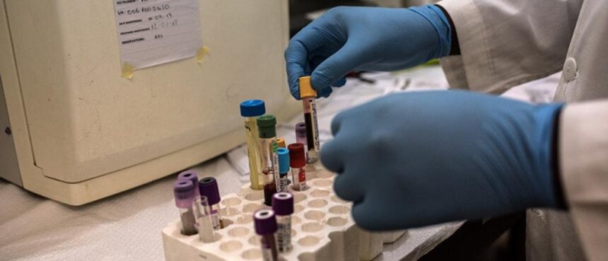 zece cazuri de malarie la iasi in ultimii ani iar un muncitor ce lucra in africa a facut de trei ori boala atentie infectia poate fi fatala ce sfaturi ne dau specialistii ieseni 69c33b869137f