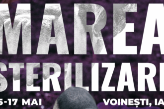 1 000 de caini sterilizati in 3 zile la iasi solutia care ar putea opri criza animalelor fara stapan 69d8811e56540