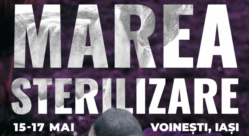 1 000 de caini sterilizati in 3 zile la iasi solutia care ar putea opri criza animalelor fara stapan 69d8811e56540