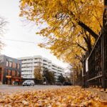 apartamente 3 camere de vanzare in copou o investitie premium in inima iasului p 69d3379427123