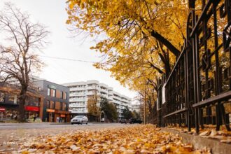 apartamente 3 camere de vanzare in copou o investitie premium in inima iasului p 69d3379427123