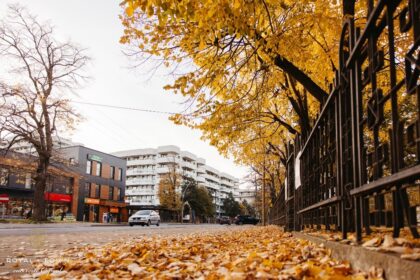 apartamente 3 camere de vanzare in copou o investitie premium in inima iasului p 69d3379427123