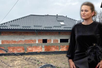 asa arata coruptia din iasi se lucreaza de zor la casa ilegala a cristinei balan din copou toate institutiile sunt la picioarele reginei de la palatul roznovanu 69d2eca53b02b