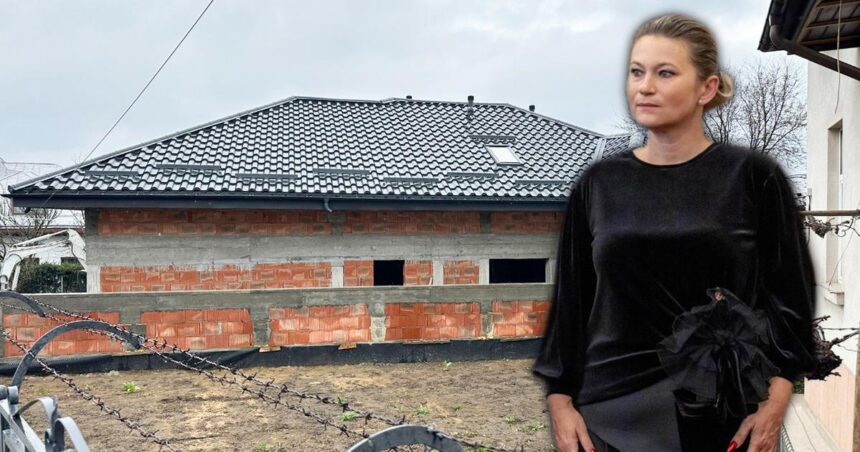 asa arata coruptia din iasi se lucreaza de zor la casa ilegala a cristinei balan din copou toate institutiile sunt la picioarele reginei de la palatul roznovanu 69d2eca53b02b