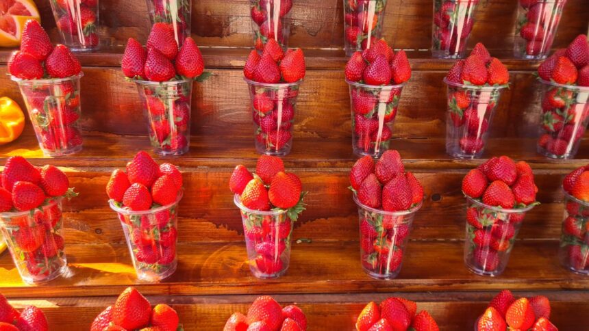 au aparut primele capsuni romanesti si la iasi preturi ridicate la inceput de sezon importurile raman alternativa mai ieftina 69ec12e565362