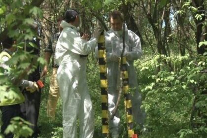 barbat gasit spanzurat intr o curte din iasi 69ddf4fc6e4f4