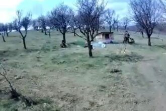 bataie la o stana din iasi doi agresori au ajuns dupa gratii 69e2332b8e650