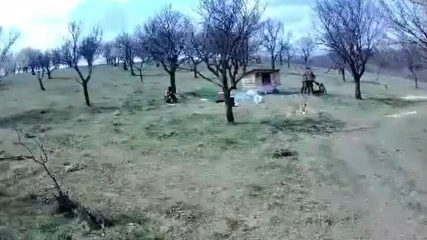 bataie la o stana din iasi doi agresori au ajuns dupa gratii 69e2332b8e650