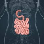 care este veriga esentiala a digestiei dr gabriela canschi iti ofera raspunsul 69f18a0d455ab