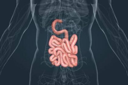 care este veriga esentiala a digestiei dr gabriela canschi iti ofera raspunsul 69f18a0d455ab