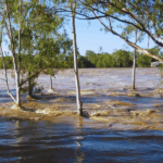 cod portocaliu de inundatii in iasi hidrologii avertizeaza asupra depasirii cotelor 69ccc6bb13a63