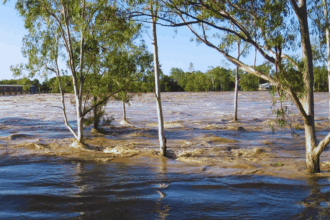 cod portocaliu de inundatii in iasi hidrologii avertizeaza asupra depasirii cotelor 69ccc6bb13a63
