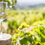 comuna din prahova care a devenit prima localitate oenoturistica din romania alte cateva ar putea urma cat de curand 69f2ee9997359