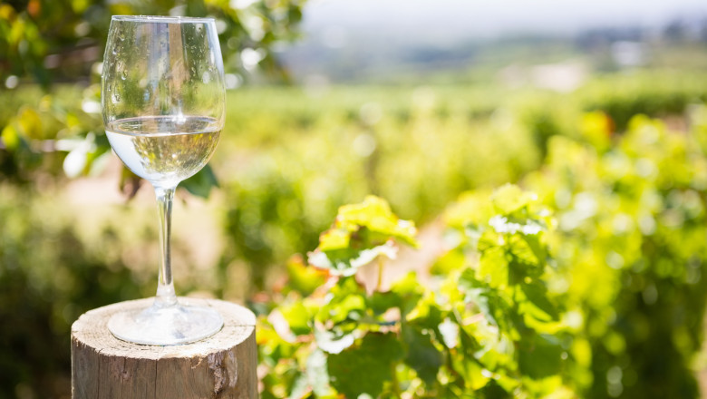 comuna din prahova care a devenit prima localitate oenoturistica din romania alte cateva ar putea urma cat de curand 69f2ee9997359