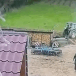 consilier local retinut de politisti dupa ce a batut un consatean la bataie a participat si sotia consilierului 69e254a4abb56