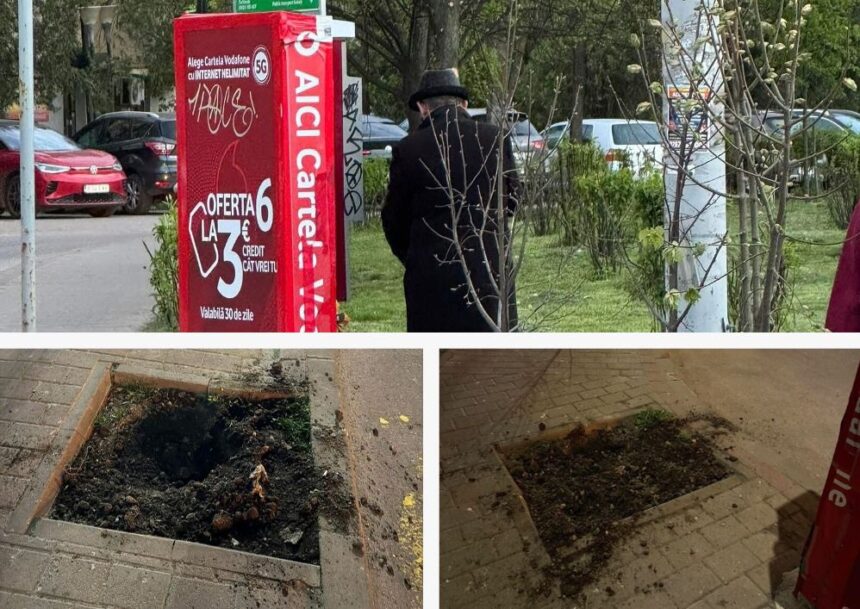 copaci scosi din radacina la iasi martorii acuzaun barbat ii smulgea cu o ranga 69f34fa56f020