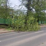 de ce a fost lovit judetul iasi de rafale puternice de vant explicatiile climatologului lucian sfica 69edfb8668b04