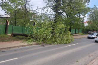 de ce a fost lovit judetul iasi de rafale puternice de vant explicatiile climatologului lucian sfica 69edfb8668b04