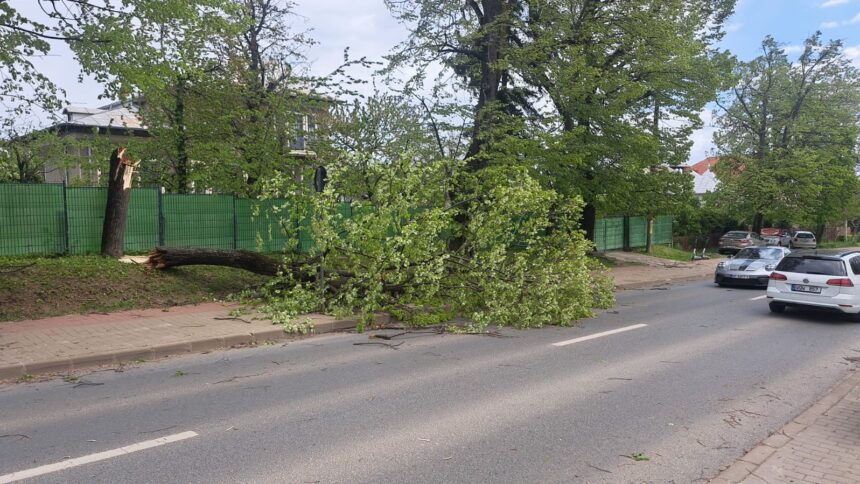 de ce a fost lovit judetul iasi de rafale puternice de vant explicatiile climatologului lucian sfica 69edfb8668b04