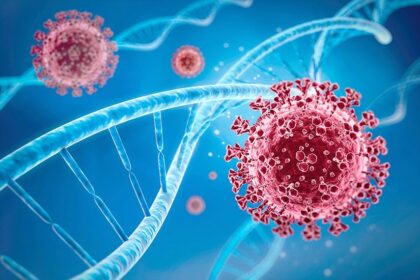 de ce unele virusuri raman in organism toata viata un studiu a identificat factorii genetici implicati 69d3cec0499b2