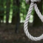 descoperire macabra in gradina botanica din iasi o persoana gasita spanzurata 69d4036e4d874