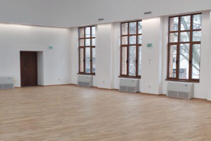 foto au fost finalizate lucrarile la prefectura iasi nu putea lipsi lucrarea unui dorel 69ce791ee46cc