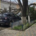 foto masina avariata dupa ce un copac s a prabusit in zona podul de fier 69d3b6288e53e