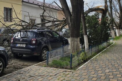 foto masina avariata dupa ce un copac s a prabusit in zona podul de fier 69d3b6288e53e